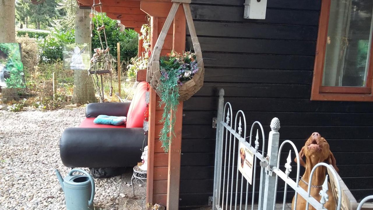 Chalet Op Een Rustig Park In De Natuur Putten Eksteriør bilde
