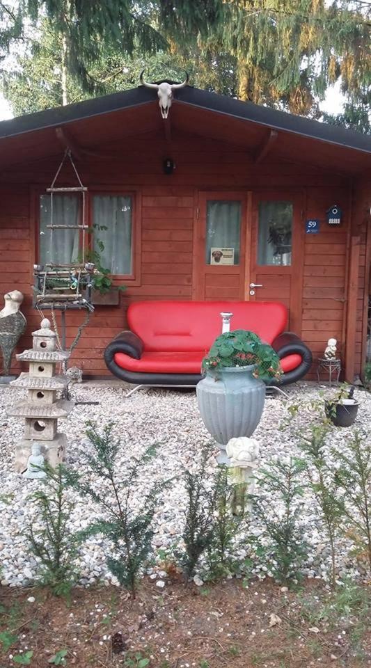 Chalet Op Een Rustig Park In De Natuur Putten Eksteriør bilde
