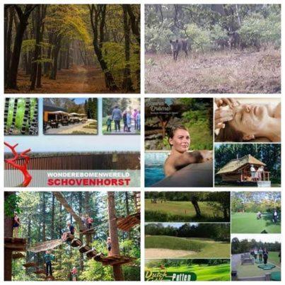 Chalet Op Een Rustig Park In De Natuur Putten Eksteriør bilde